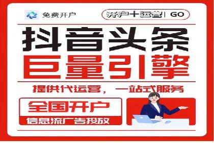 抖音信息流代理服务在旅游行业的应用实例
